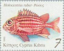 Red Soldier (Holocentrus ruber)