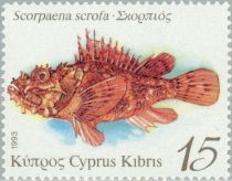 Red Scorpionfish (Scorpaena scrofa)