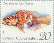 Painted Comber (Serranus scriba)