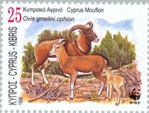 Cyprus Mouflon (Ovis gmelini ophion)