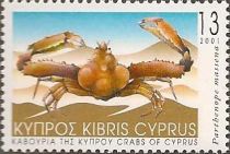 Crab (Parthenope massena)