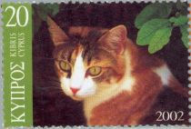 Domestic Cat (Felis silvestris catus)