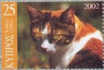 Domestic Cat (Felis silvestris catus)