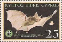 Mediterranean Horseshoe Bat (Rhinolophus euryale)