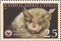 Mediterranean Horseshoe Bat (Rhinolophus euryale)