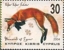 Red Fox (Vulpes vulpes ssp. indutus)