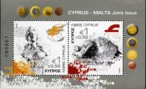 Joint Issue Cyprus-Malta, Adoption of the Euro