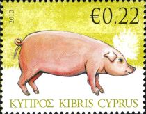 Pig (Sus scrofa domestica)