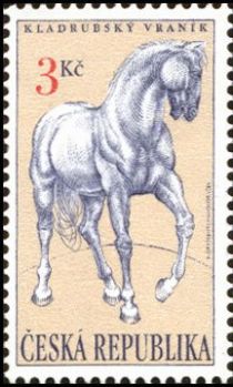 Black Kladruby Horse (Equus ferus caballus)