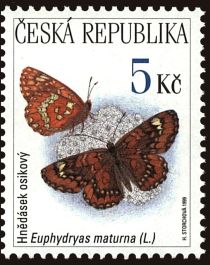 Scarce Fritillary (Euphydryas maturna)