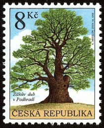 Žižka's Oak Tree in Podhradí near Lichnice