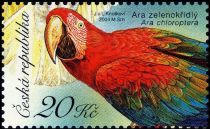 Red-and-green Macaw (Ara chloroptera)