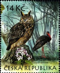 Eurasian Eagle Owl (Bubo bubo), Black Stork (Ciconia nigra),