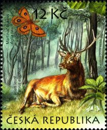 Red Deer (Cervus elaphus), Tau Emperor (Aglia tau), Bitter-c