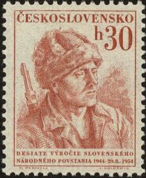 Slovak Insurrectionist