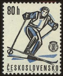 Skier