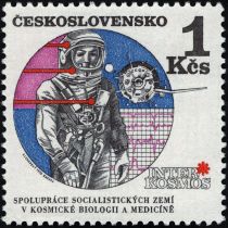 Astronaut and Vostok satellite