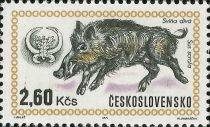 Wild Boar (Sus scrofa)