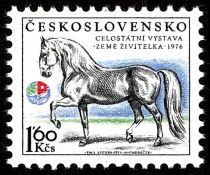 Kladruby Stallion (Equus ferus caballus)"GeneralissimusXXV"