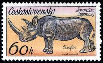 Black Rhinoceros (Diceros bicornis)