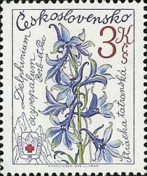 Delphinium oxysepalum