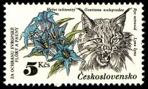 Eurasian Lynx and Willow Gentian