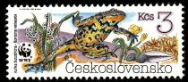 Yellow-bellied Toad (Bombina variegata)