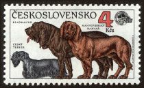 Czech Terrier, Bloodhound and Hanoverian Bearhound