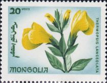 Thermopsis lanceolata